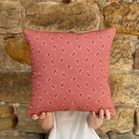 Cushions - Paisley Dark Pink